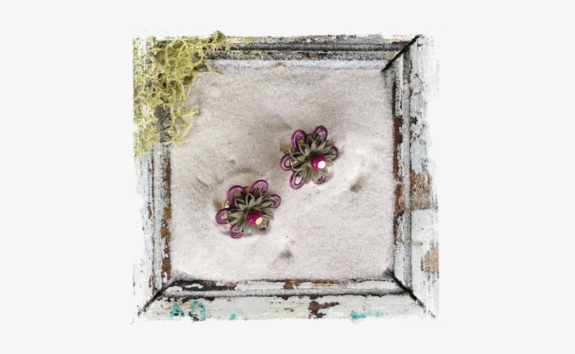 Lush Earrings Ls03 - Pansy, transparent png