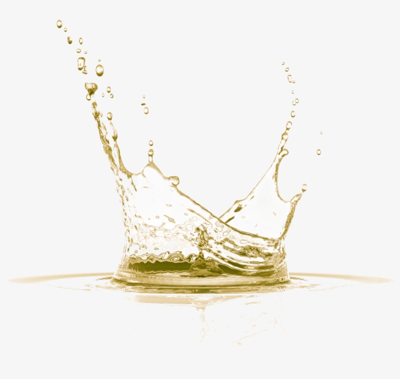 Sunlight Triggers Chemical Reactions That Make The - North American Hemp Co. Volumizing Conditioner 342, transparent png