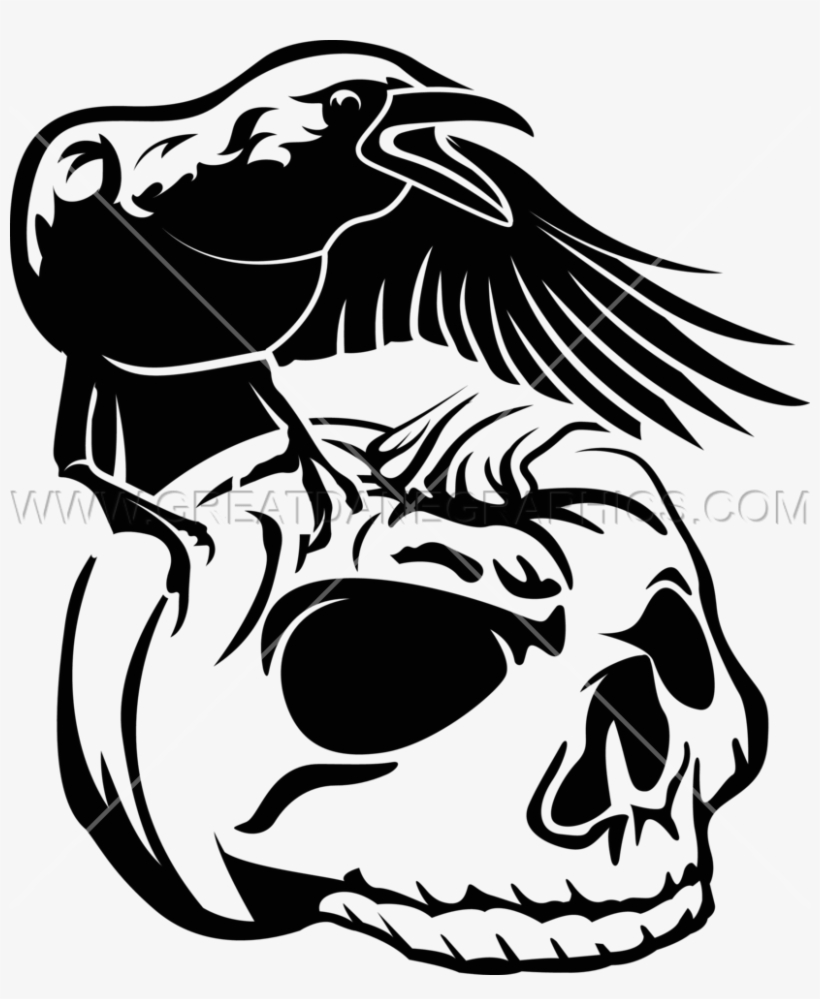 Crow Pumpkin Skull - Crow And Skull Drawing, transparent png
