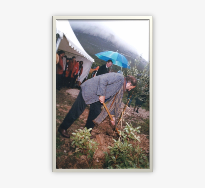 Laying The Foundation Stone Of Inmed With The Norwegian - Architect, transparent png