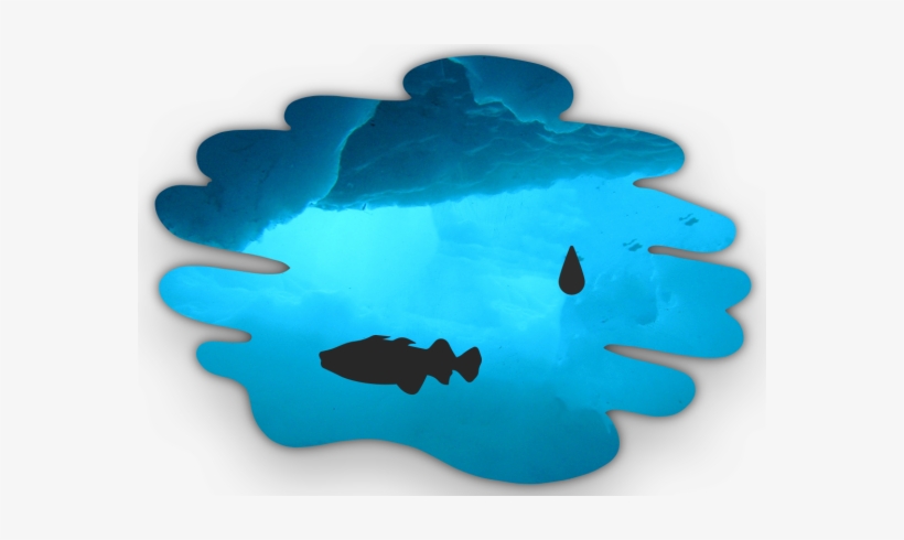 Modeling The Impacts Of Oil Spills In The Beaufort - Electric Blue, transparent png