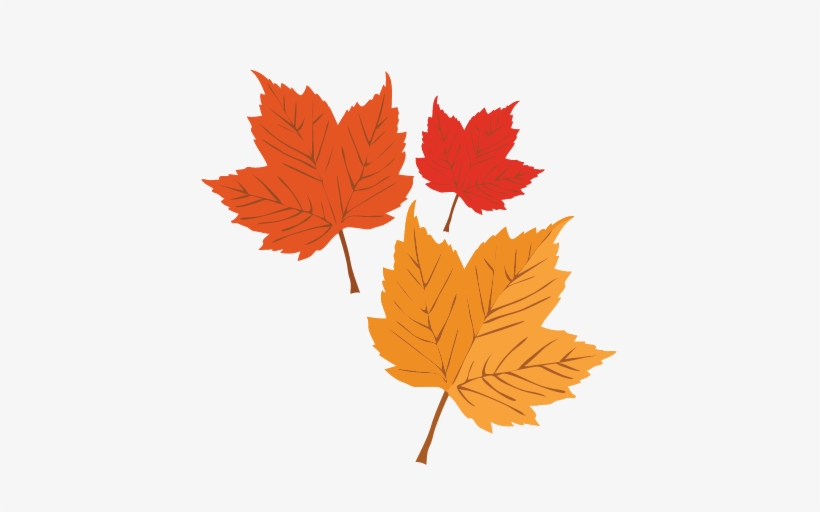 Download Autumn Leaves Svg Scrapbook Cut File Cute Clipart Files ...