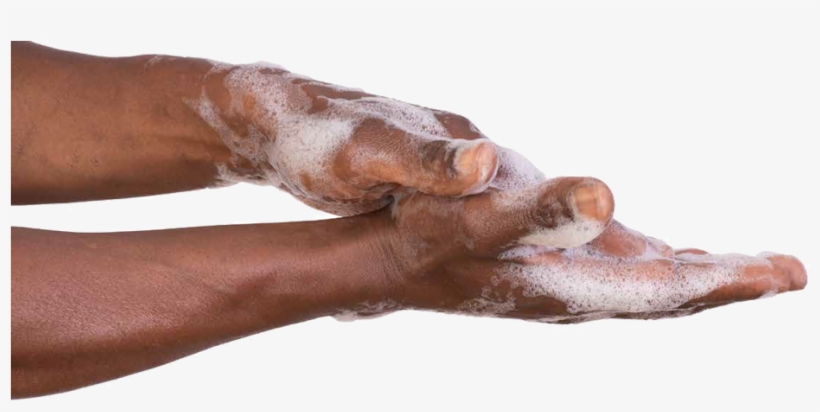 Product Installations - Transparent Brown Hands Png, transparent png