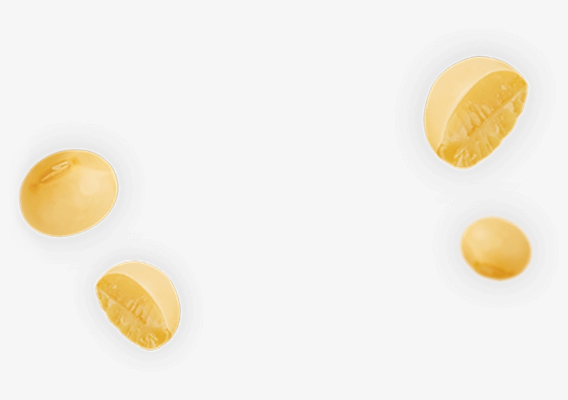Coin, transparent png