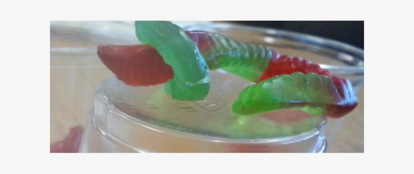 This Was Taken By Me During A Science Lab Students - Punch, transparent png