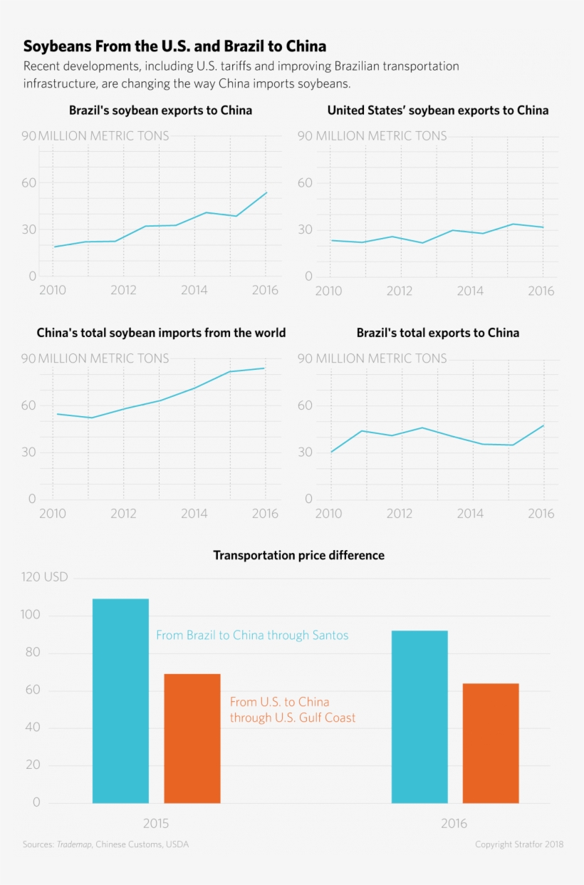 Soybeans From The U - Soybean, transparent png