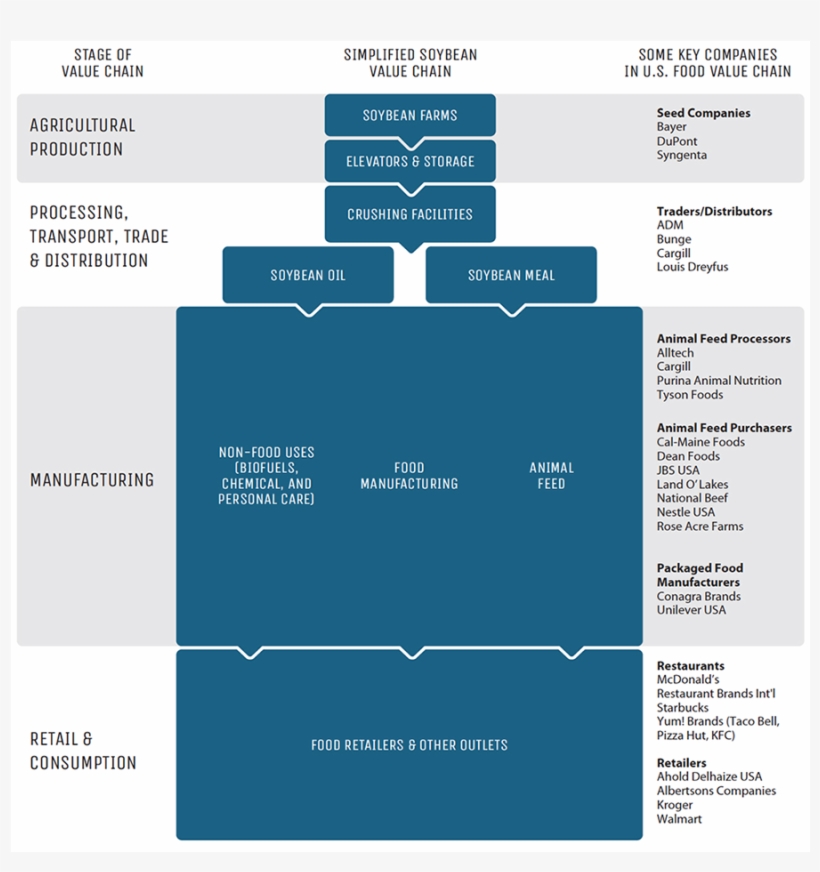 Download The Soybeans Brief - Palm Trees, transparent png