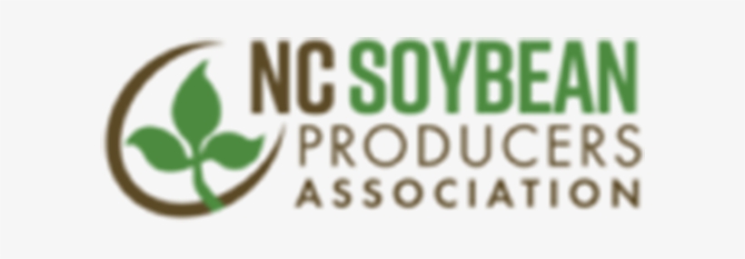 Nc Soybean Producers Association Logo - Calligraphy, transparent png
