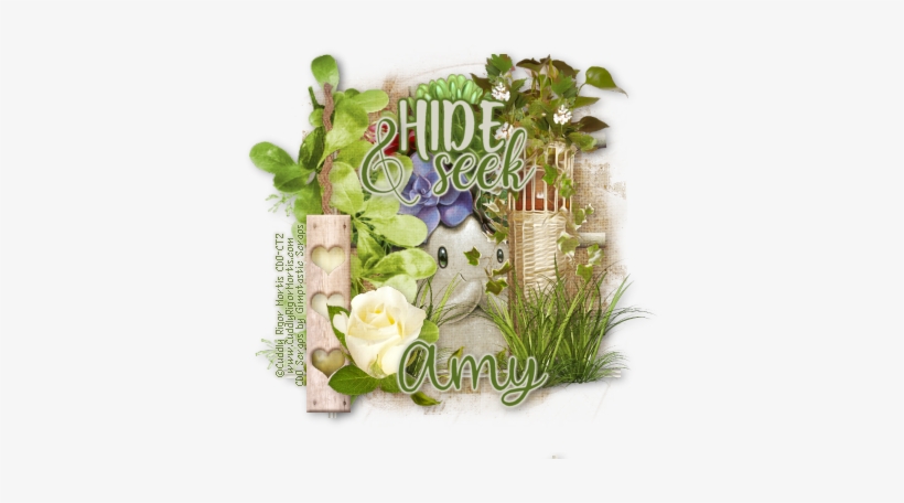 Hide & Seek - Garden Roses, transparent png