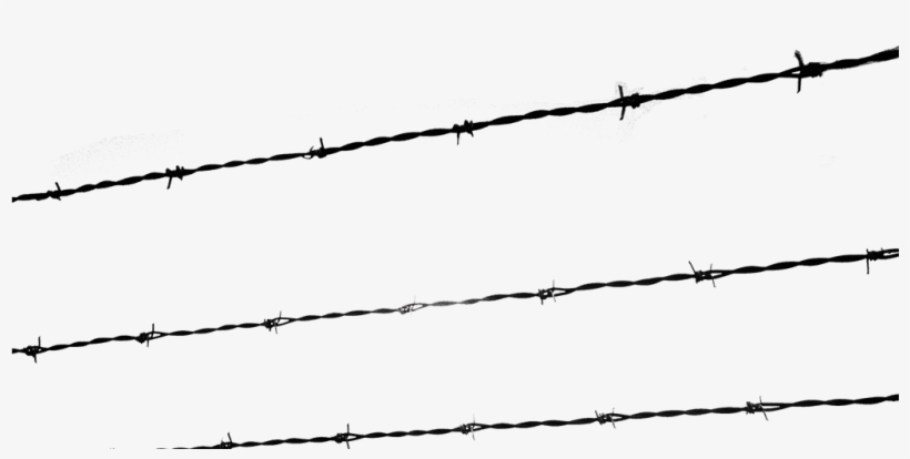 A Growing Evil - Holocaust Wires Png, transparent png