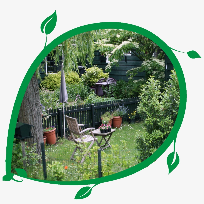 Garden - Frog, transparent png