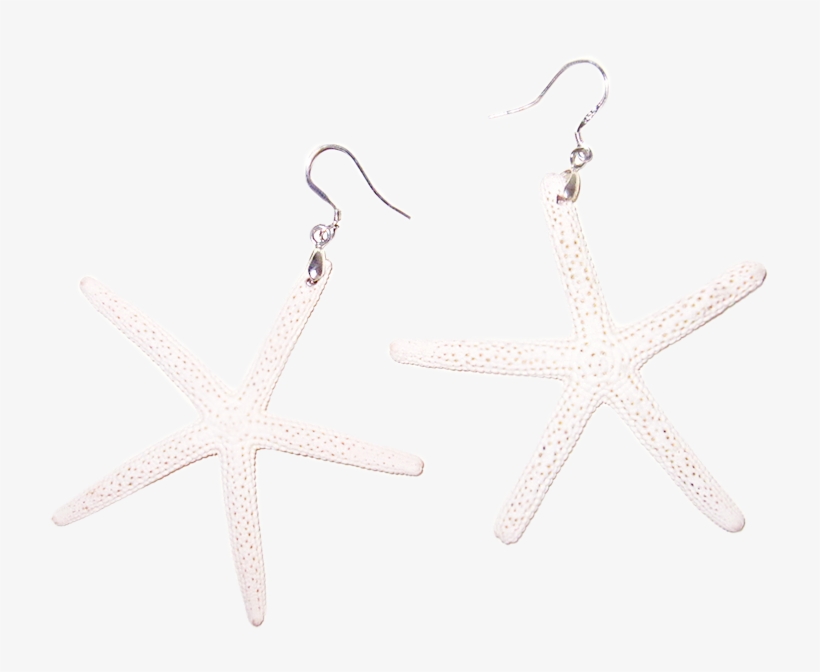 White Sugar Starfish Earrings - Earring, transparent png