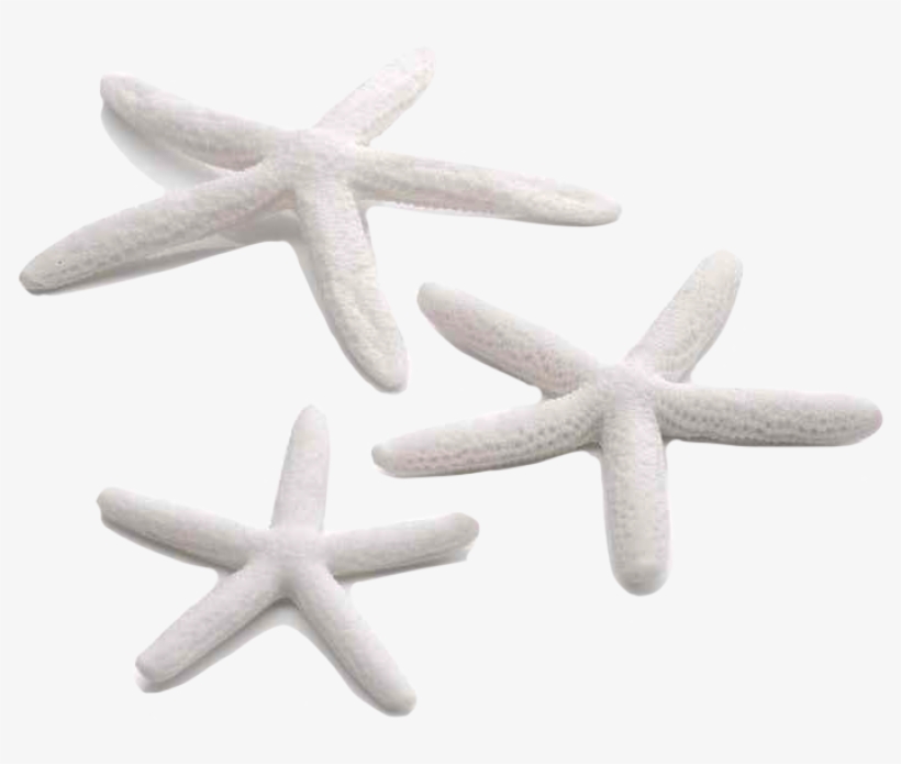 Biorb Starfish Set 3per Pk White 46134, transparent png