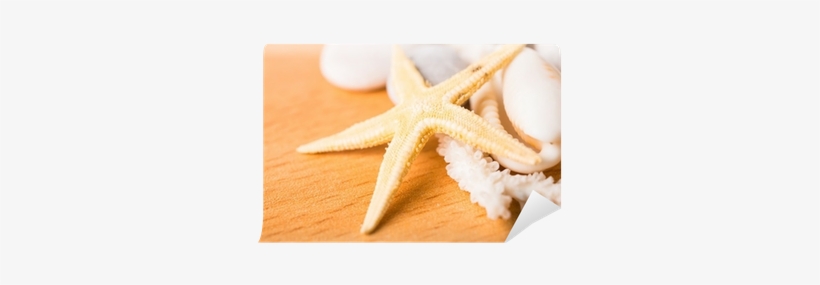 Starfish, White Coral, Shell On Wood Background Wall - Starfish, transparent png