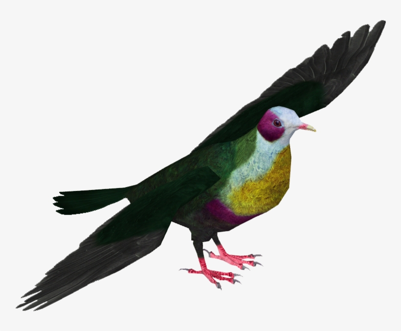 Yellow-breasted Fruit Dove - Pink-headed Fruit Dove, transparent png