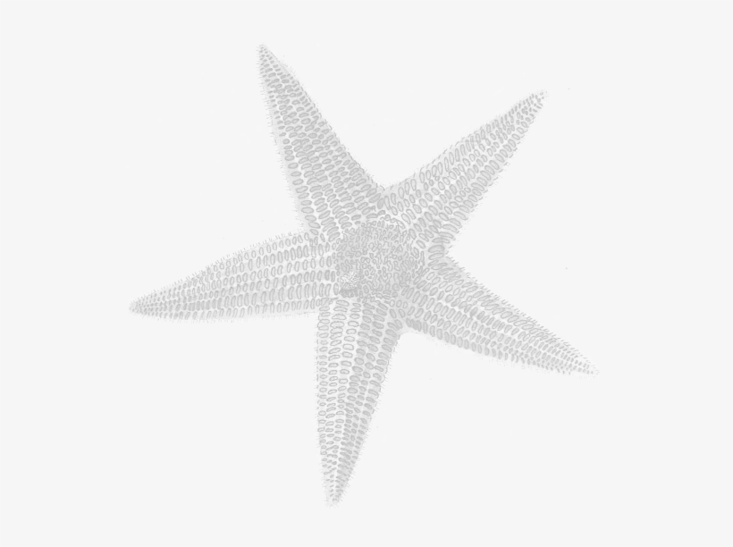 Portable Network Graphics, transparent png