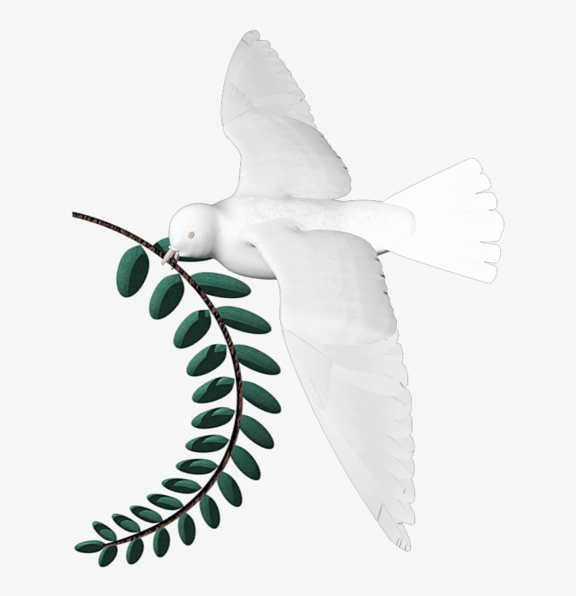 Png, Dove Larel Leaf - Freemasonry, transparent png