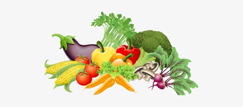 Begin Eating - - Vegetable Song For Preschool, transparent png