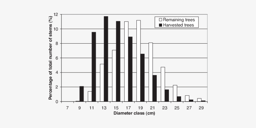 Dbh Series For Remaining And Harvested Birch Trees - Harvest, transparent png