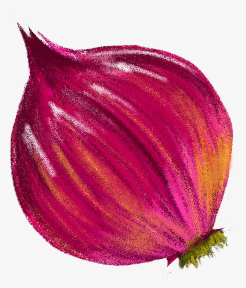 After Getting All The Graphic Elements Drawn And Approved, - Red Onion, transparent png