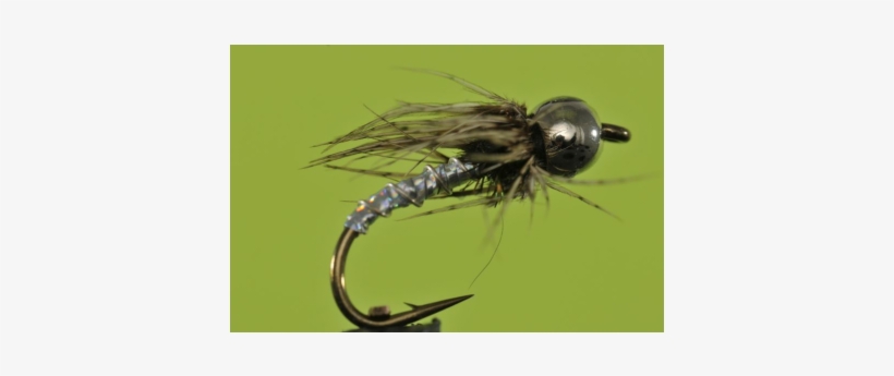 Silver Bh Soft Hackle Lightning Bug - Ichneumonoidea, transparent png