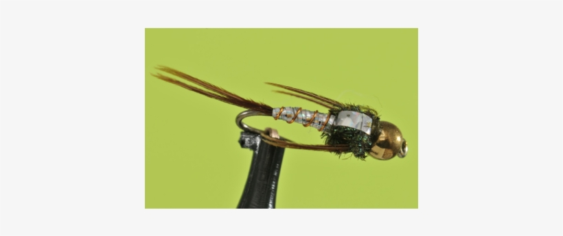 Silver Lightning Bug - Bozeman, transparent png