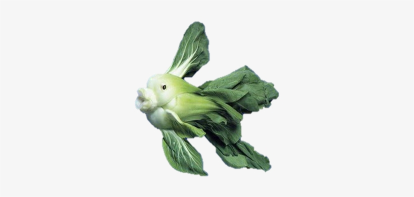 Posts Fish Png Transparent Bok Choy - Graphic Artists Get Bored, transparent png