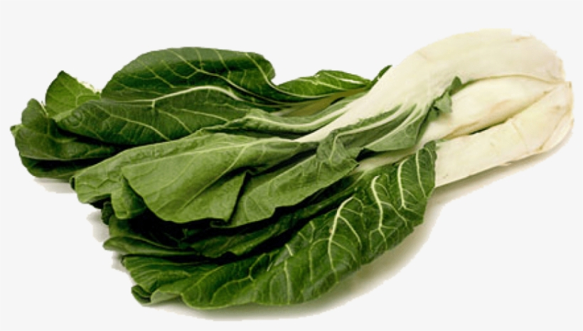 Free Png Bok Choy Png File Png Images Transparent - Chard Png, transparent png