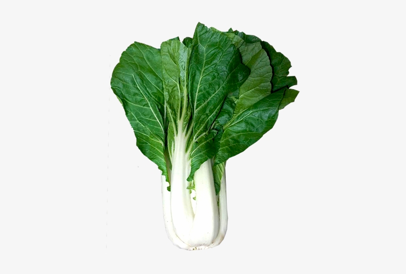 Chard, transparent png