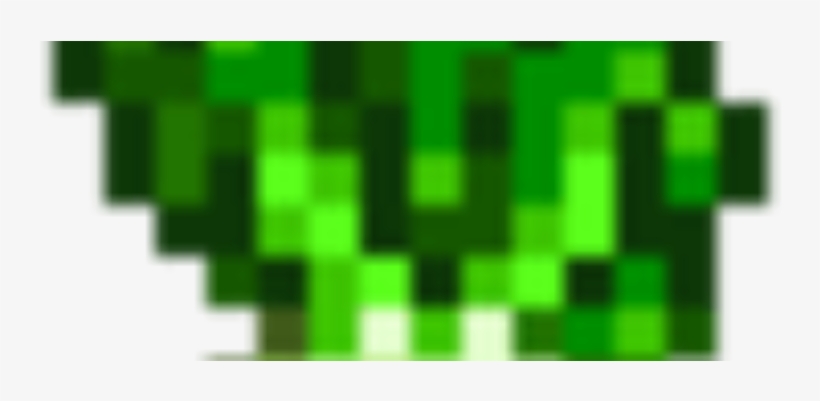 Bok Choy, transparent png