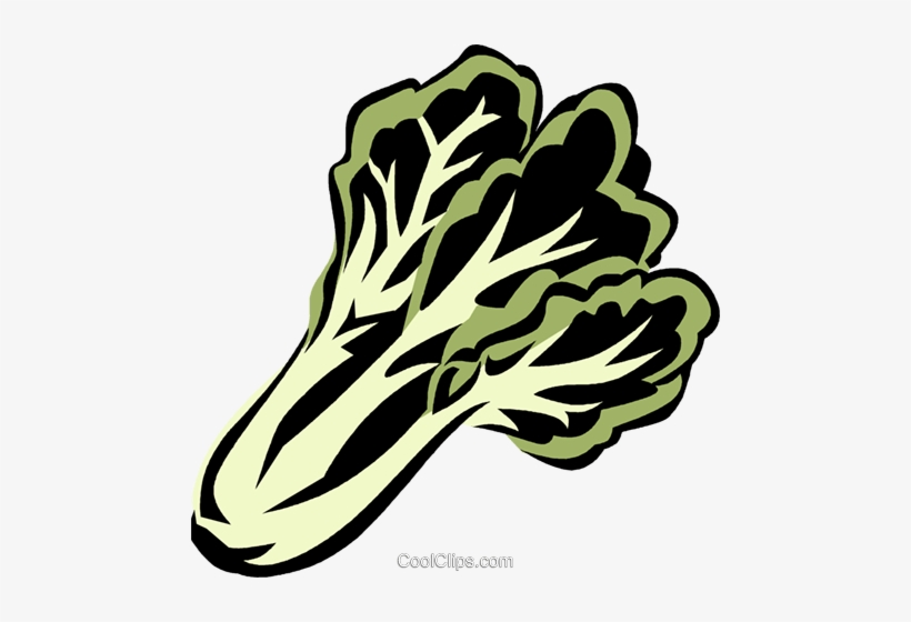 Bok Choy Royalty Free Vector Clip Art Illustration - Bok Choy, transparent png