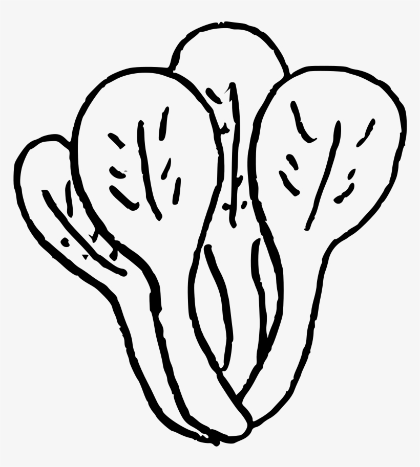 Doodle-bokchoy - Line Art, transparent png