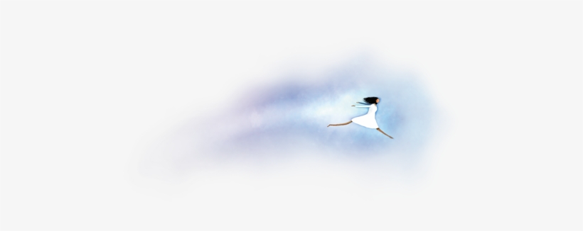 February Mets Meet Up - Seabird, transparent png