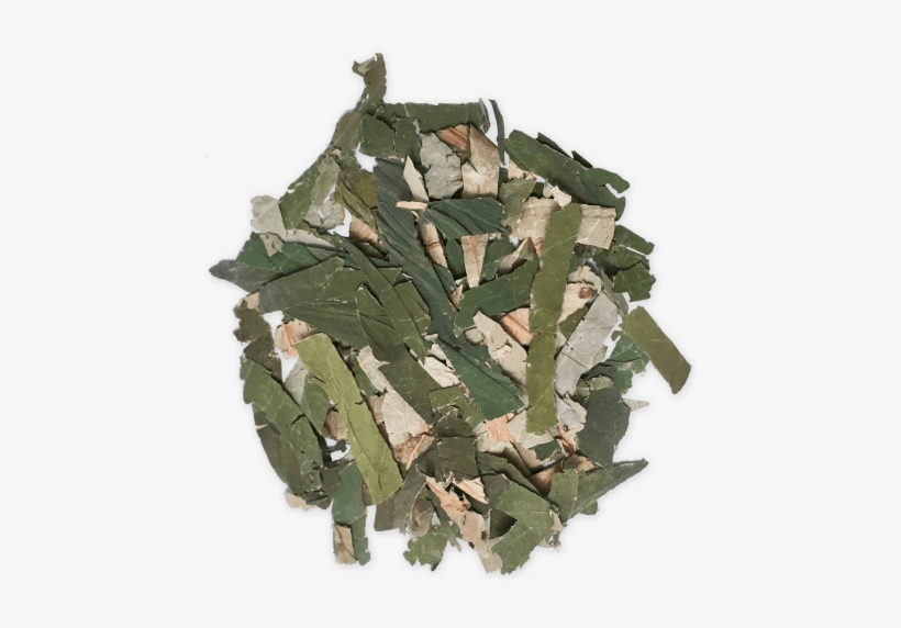 Blue Lotus Dried Leaf - Egyptian Lotus, transparent png