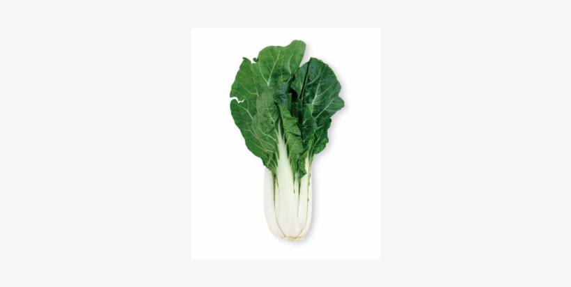 Did You Know That Bok Choy Is One Of The Driest Vegetable - Broccoli, transparent png