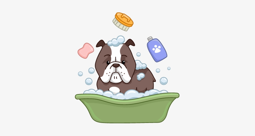 Bulldog Bathing Dog Shower Png 337x358 Png Download Pngkit