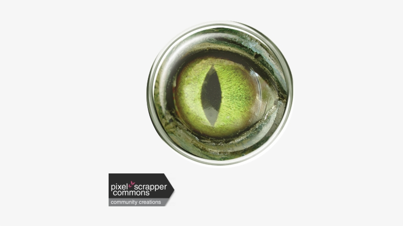 I Dig It - Dinosaur [book], transparent png