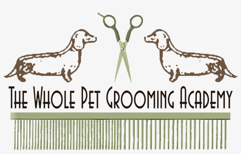 Academy, transparent png