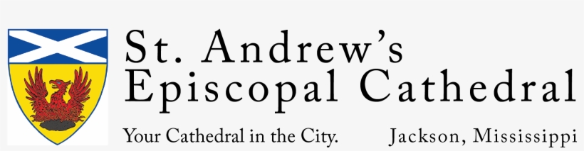 Andrew's Cathedral - Anti-aging For Dogs: A Longevity Program, transparent png