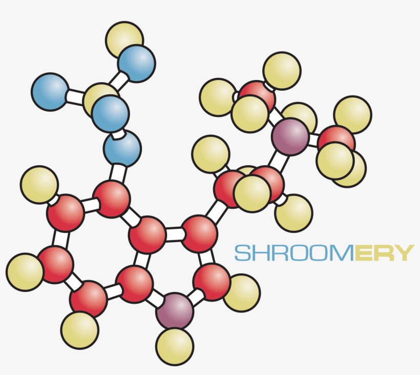 Psilocybin Light - Circle, transparent png