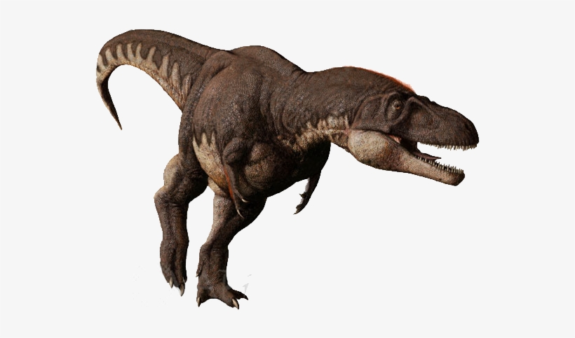 With Its Massive Head And Large Teeth, There Is No - Dinosaurs Daspletosaurus, transparent png