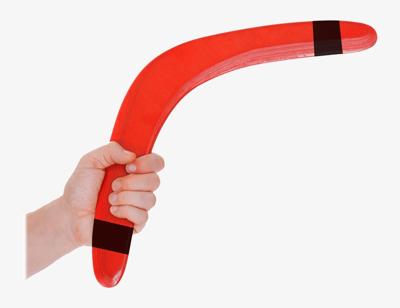 Barcode Systems Boomerang - Barcode System, transparent png