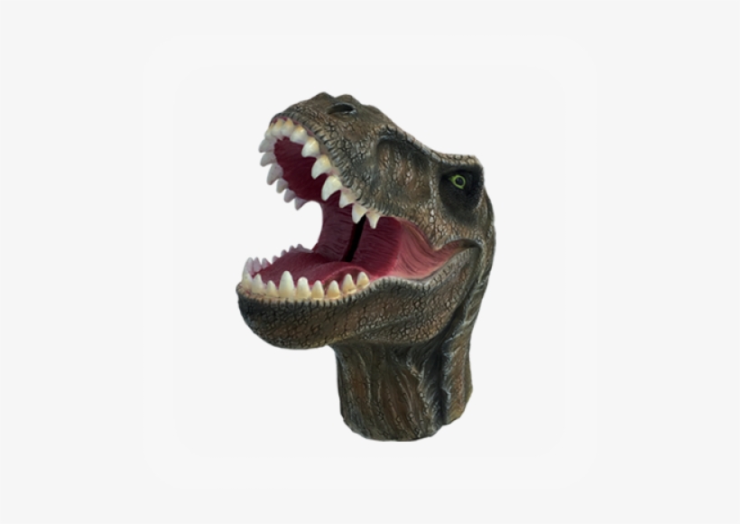 Money, transparent png