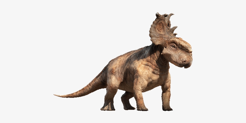 And Probably Protect His Head From The Blows (absorbing - Dinosaur With Fan Head, transparent png