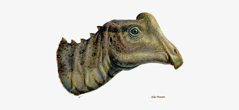 Panzarin Head - Parasaurolophus Joe, transparent png