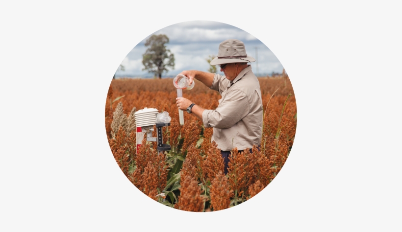 Uq And The Queensland Government's Investment In Qaafi - The University Of Queensland, transparent png