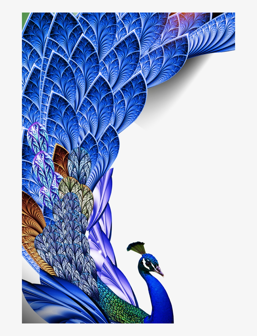Peacock Png Download Image - Happy Krishna Janmashtami Wishes, transparent png