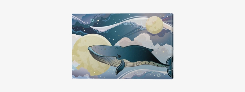 Cartoon Whale And Fantastic Sky - Whales, transparent png