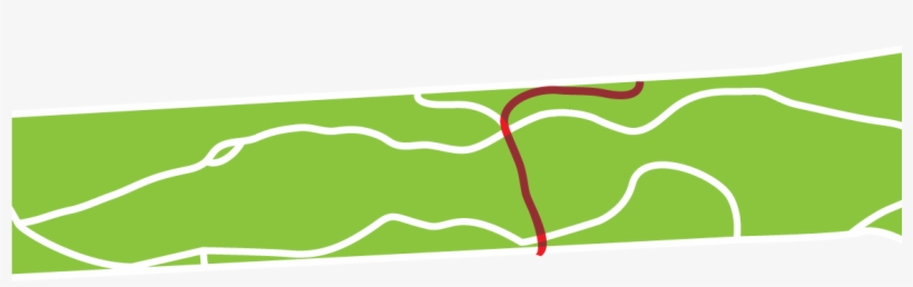Golden Gate Park - Illustration, transparent png