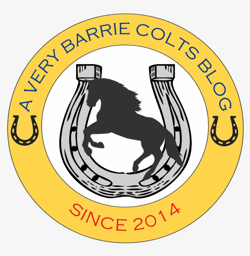 Looking To Promote In Barrie Or In The Area A Very - Good Luck Horseshoe Large Wall Clock, transparent png